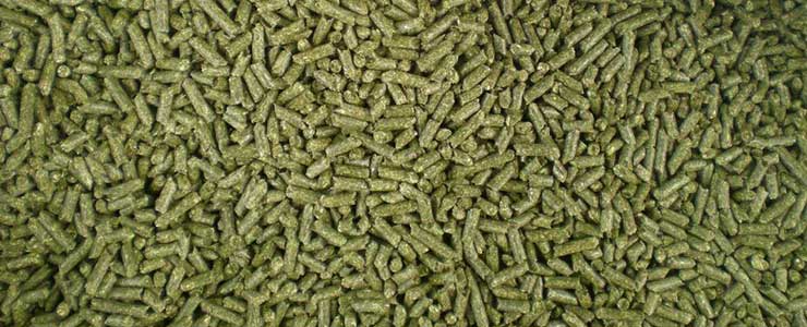 alfalfa pellets