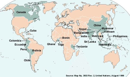 bamboo distribution