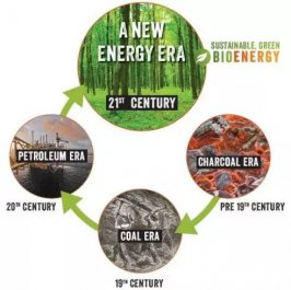The development history of biomass pellets