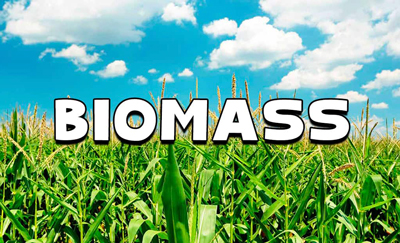 Biomass energy advantages and disadvantages