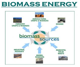 biomass energy & biomass fuels