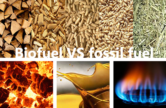 biomass fuel and fossil fuel