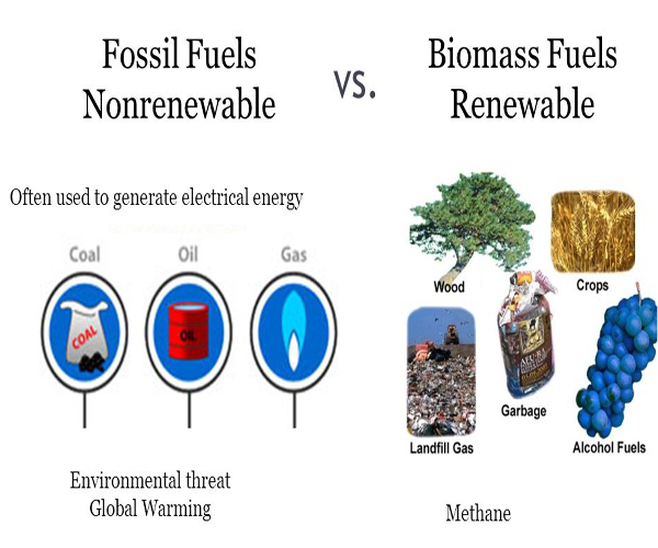 biomass energy & biomass fuels
