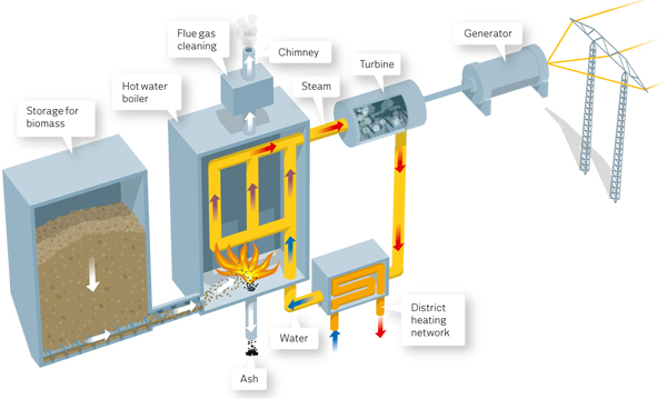 biomass power generation process