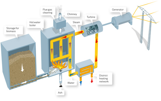 biomass power generator