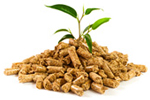 biomass fuel