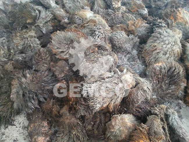 efb pellets' raw material 