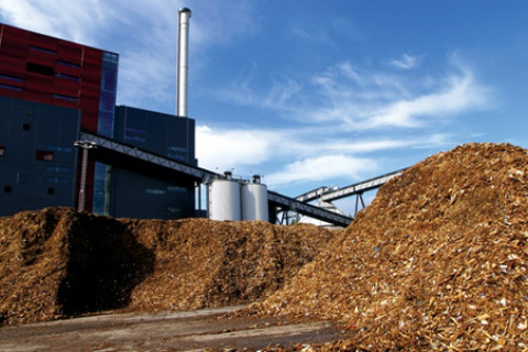 industrial biomass boiler