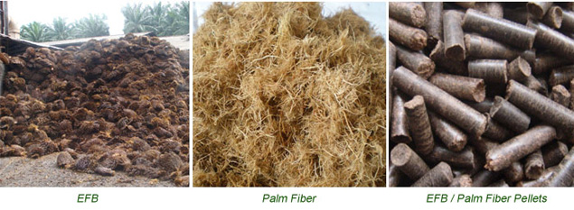 efb fiber and efb pellets