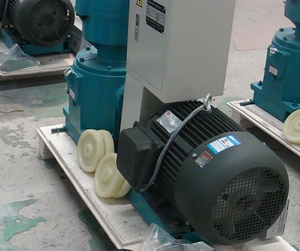 pellet mill electric motor