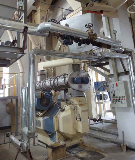 large pellet mill