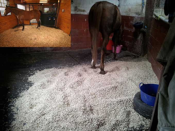 pine pellets for horse bedding