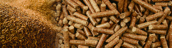 rice husk and rice husk pellets