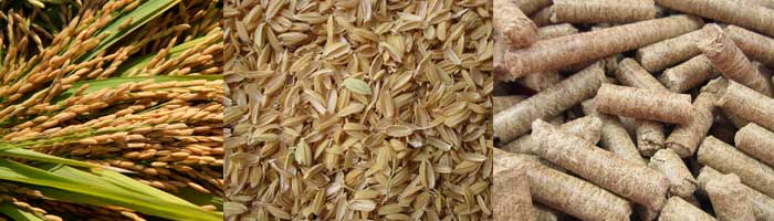 rice husk and rice husk pellets