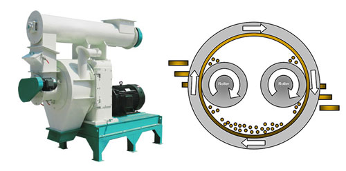 ring die pellet machine structure