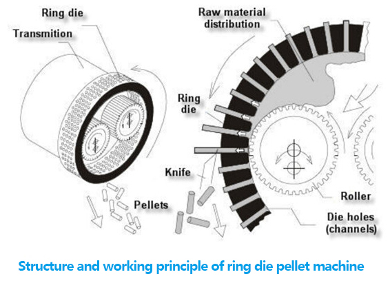 structure of ring die pellet machine