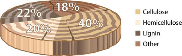 wood cellulose and lignin