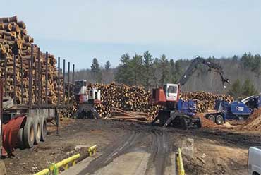 wood logs for making geneva wood pellets