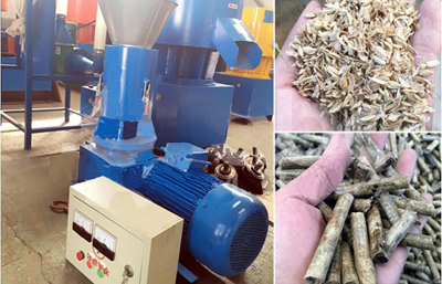 Small rice husk pellet machine exported to France