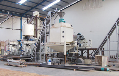 10t/h sawdust pellet plant in Indonesia